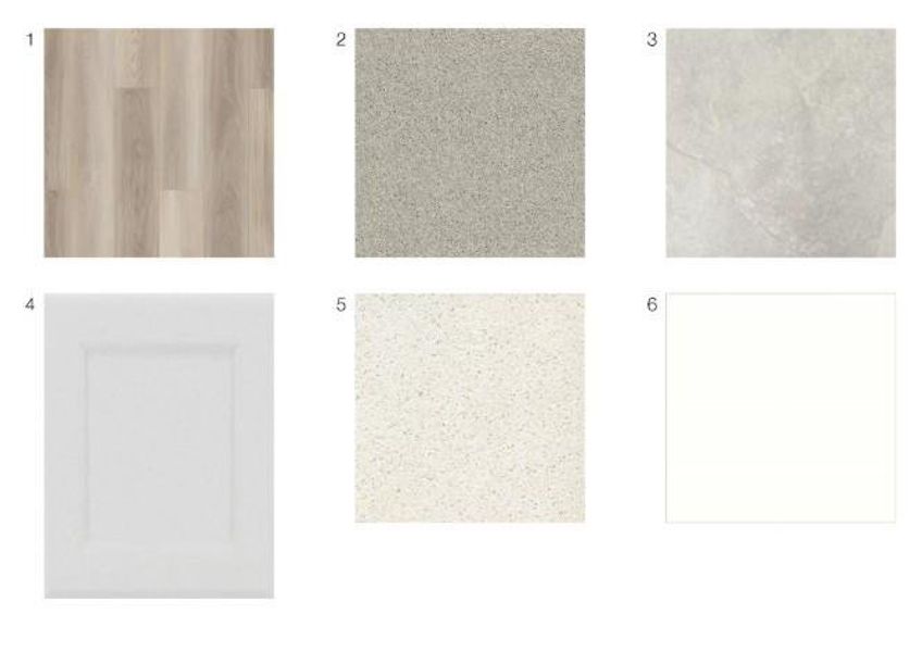 9735 Poinsettia Haven Lane design selections! This home is currently under construction and selections are subject to change.