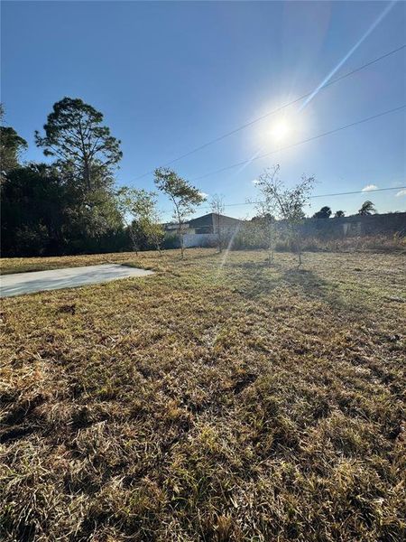 Natural landscape and outdoor views near  in Port Charlotte (Image 25).