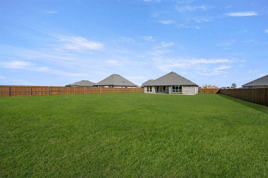 113 Grey wolf- Back-2 113 Grey wolf- Back-2