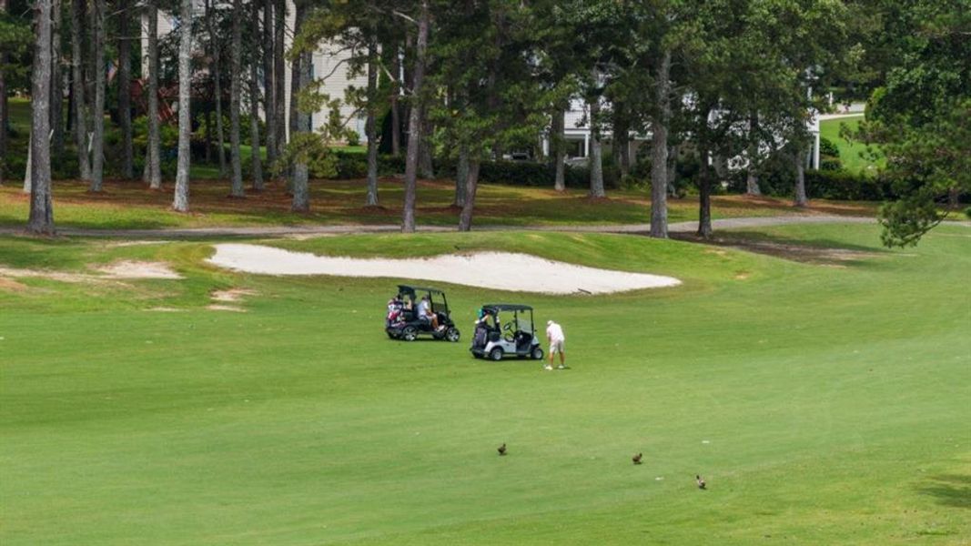 Image 76 of a home in Fairway 17 at Mirror Lake.