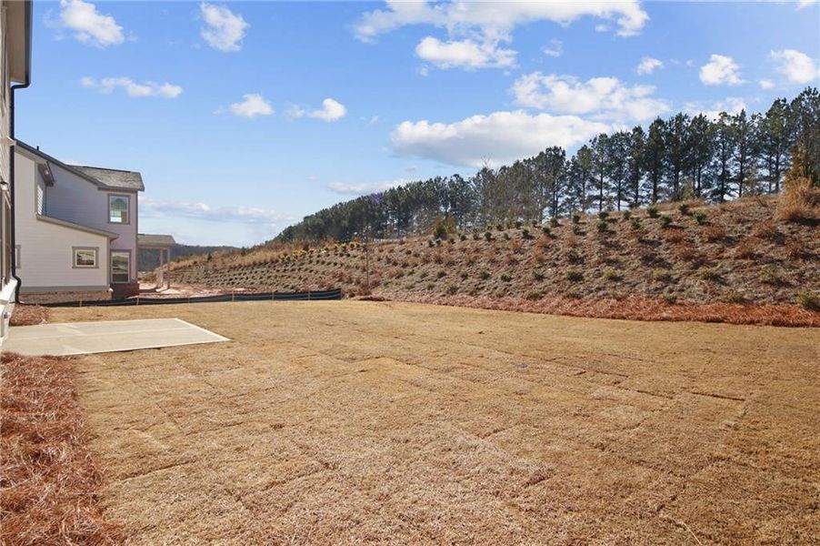 Exterior details and patio area of a home in , Cumming (Image 3). Exterior details and patio area of a home in , Cumming (Image 3).