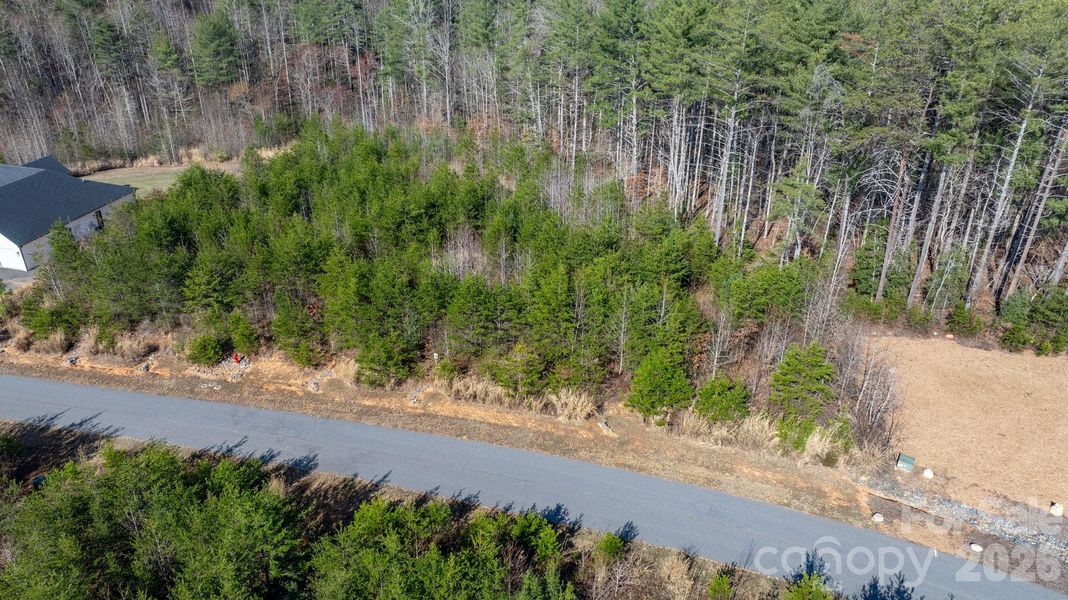 Natural landscape and outdoor views near  in Morganton (Image 24).