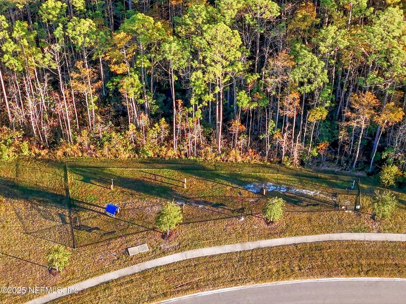 Natural landscape and outdoor views near Parkland Preserve in St. Augustine (Image 35).