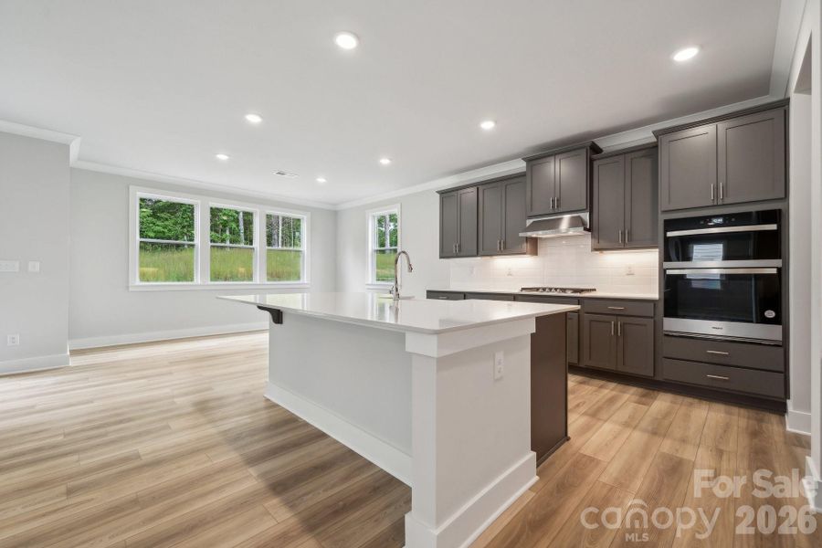 Furnished interior view inside a new home in Cannon Manor, Kannapolis (Image 9).