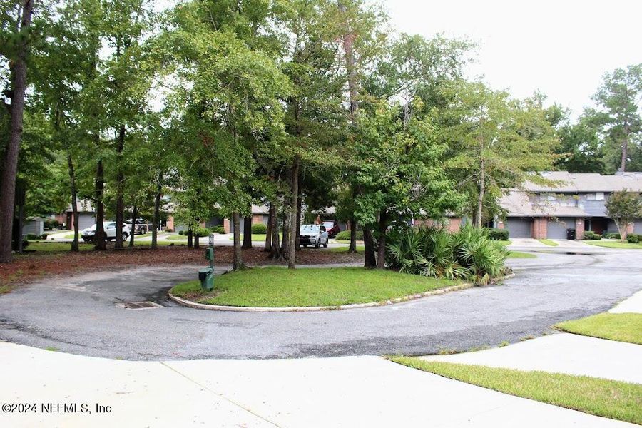 Natural landscape and outdoor views near  in Middleburg (Image 28).
