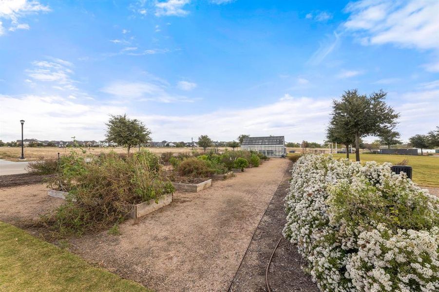 Community Garden Community Garden