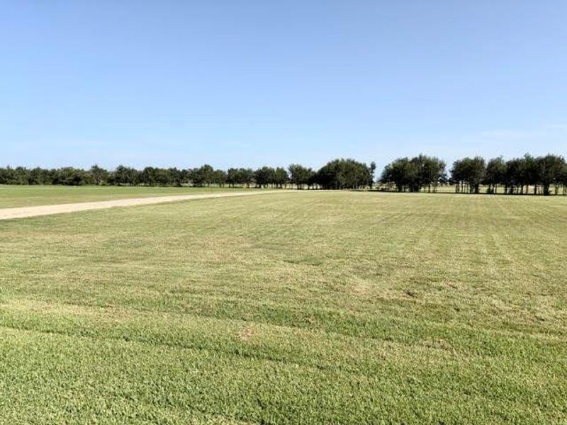 Natural landscape and outdoor views near  in El Campo (Image 42).
