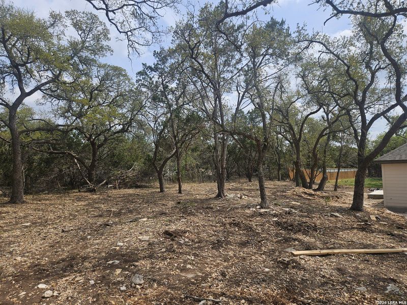 Natural landscape and outdoor views near  in Fischer (Image 8).