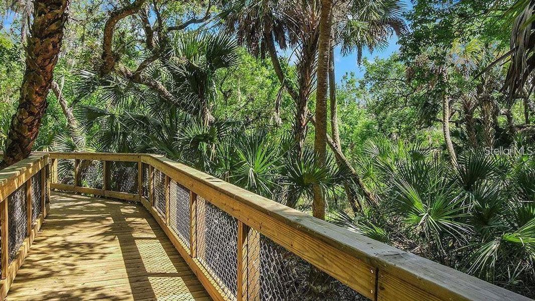 Natural landscape and outdoor views near  in Sarasota (Image 65).