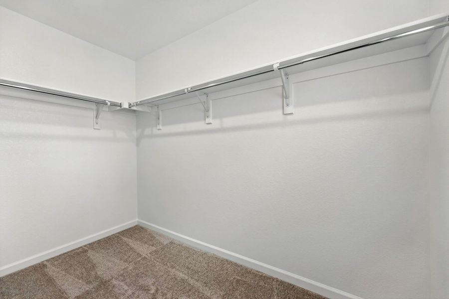 Spacious, unfurnished interior of a new home in Farmlore, Brighton (Image 17).