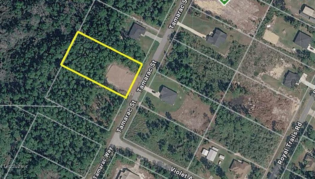 Site preparation for new homesites in , Eustis (Image 31).