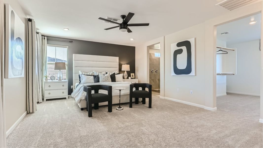 Picacho Owners Suite