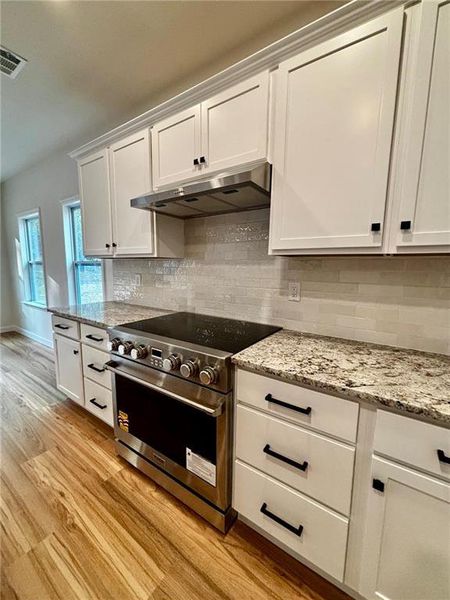 Furnished interior view inside a new home in , Maysville (Image 9).