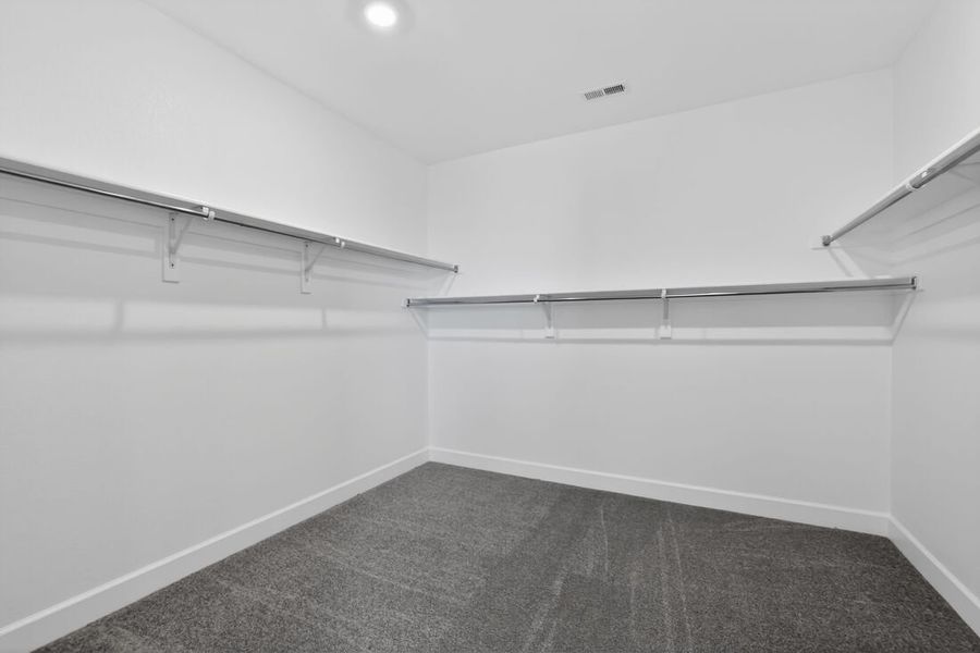 Spacious, unfurnished interior of a new home in Macanta, Castle Rock (Image 15).