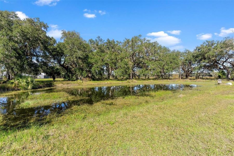 Backyard with Pond Views