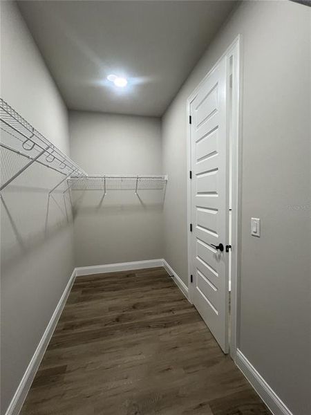 Primary walk-in closet