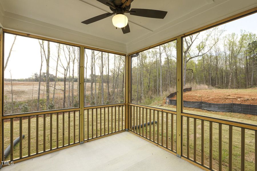 amelia-7603-b-hl119_52784000066_o amelia-7603-b-hl119_52784000066_o