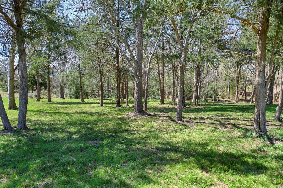 Natural landscape and outdoor views near  in Chappell Hill (Image 31).