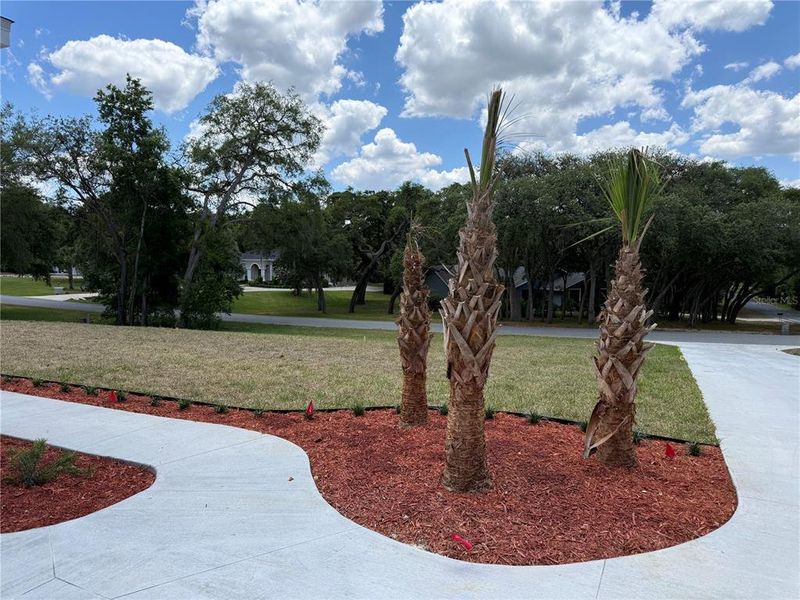 Community amenities in , Hernando (Image 56).