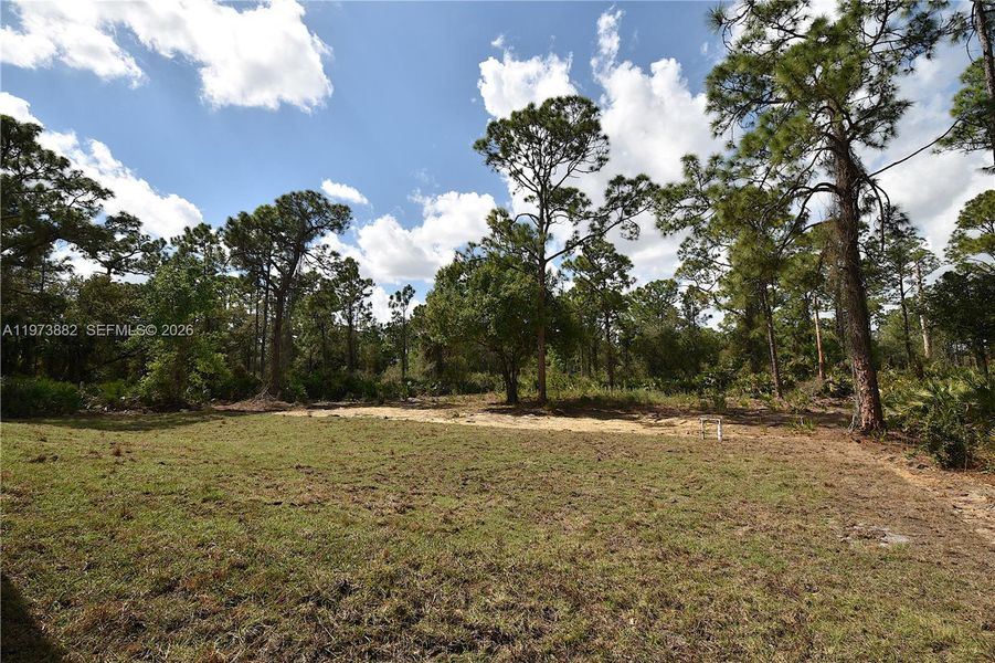 Natural landscape and outdoor views near  in Lehigh Acres (Image 24).