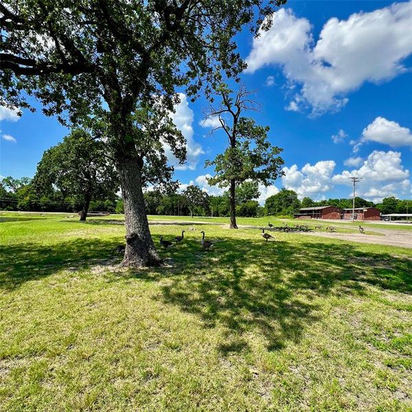 Exterior details and patio area of a home in , Greenville (Image 3). Exterior details and patio area of a home in , Greenville (Image 3).
