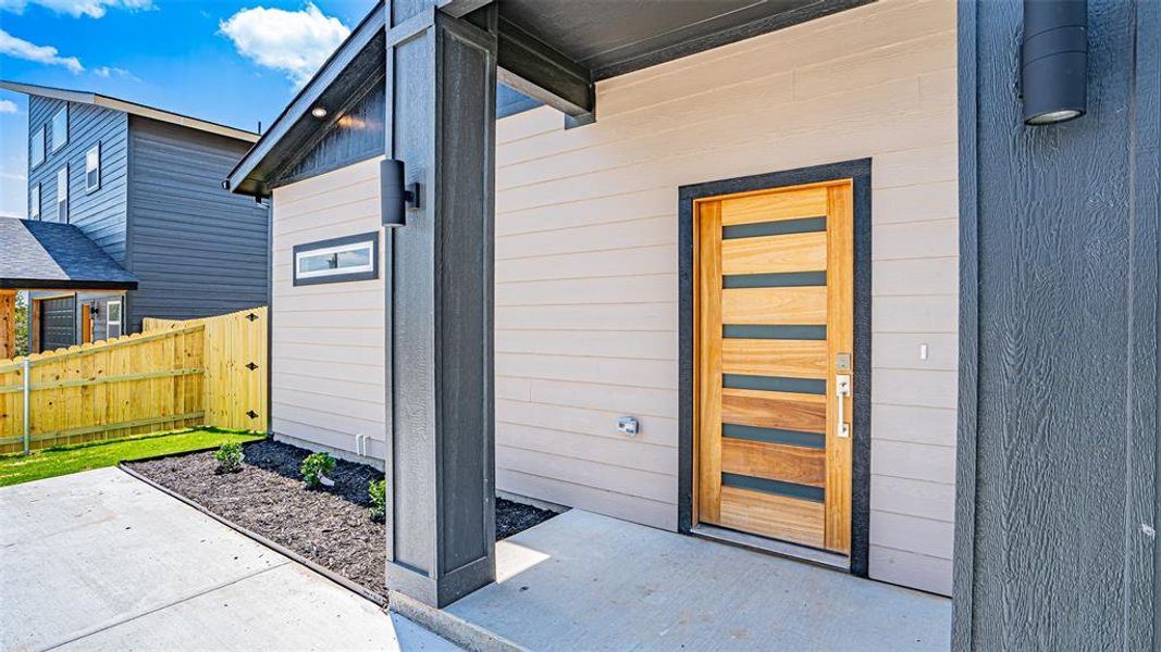 Front door.  Contemporary style