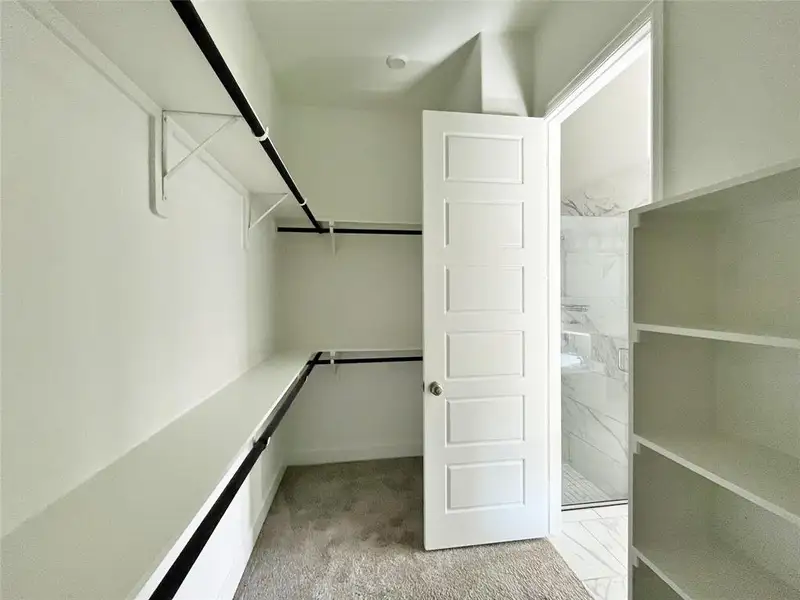 Spacious closet featuring light colored carpet Spacious closet featuring light colored carpet