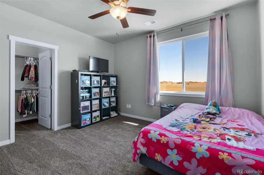 Upper Level Bedroom With Walk In Closet