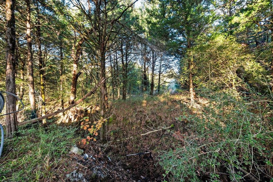 Natural landscape and outdoor views near  in Teague (Image 10).