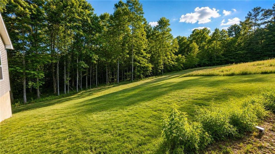 Natural landscape and outdoor views near in Blairsville (Image 20). Natural landscape and outdoor views near in Blairsville (Image 20).