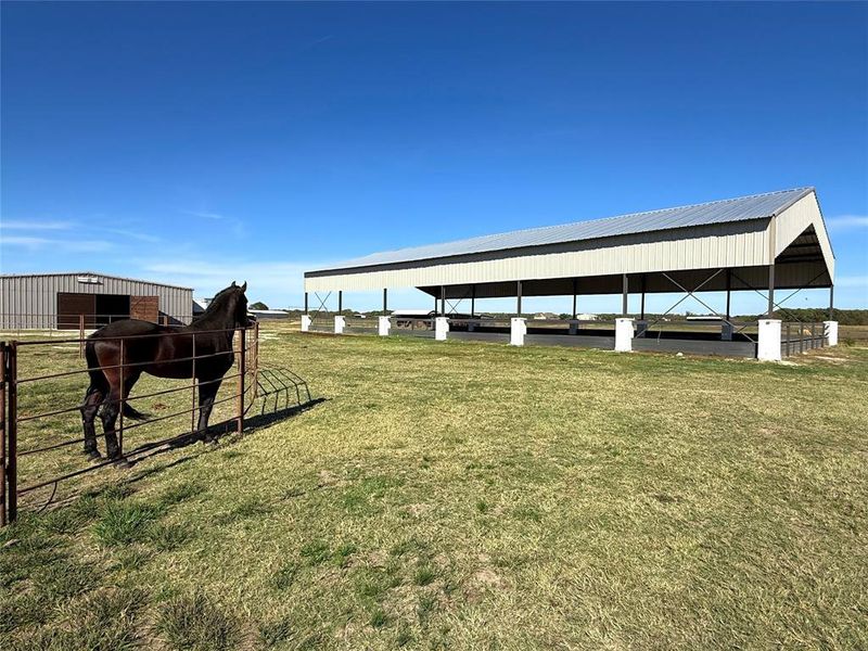 7200 sqft Horse Arena