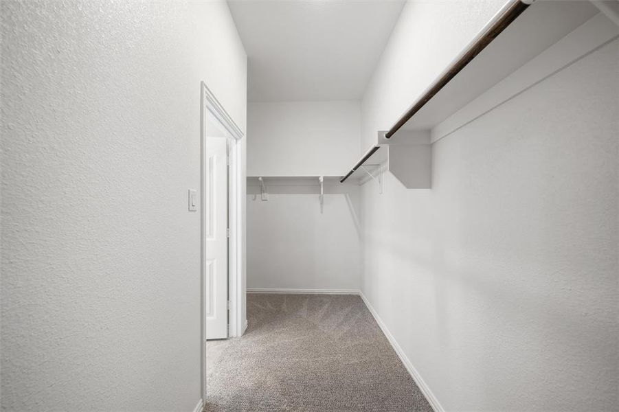 Spacious closet featuring carpet Spacious closet featuring carpet