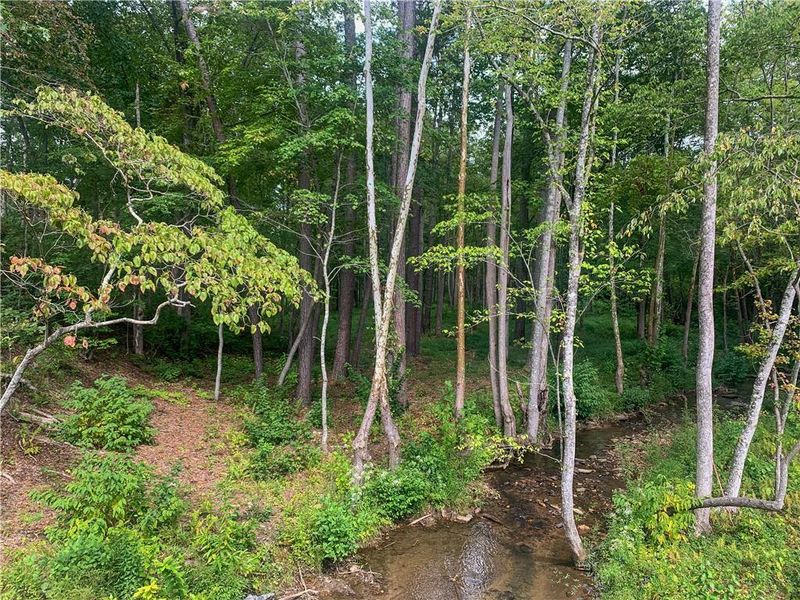 Natural landscape and outdoor views near  in Talking Rock (Image 57).
