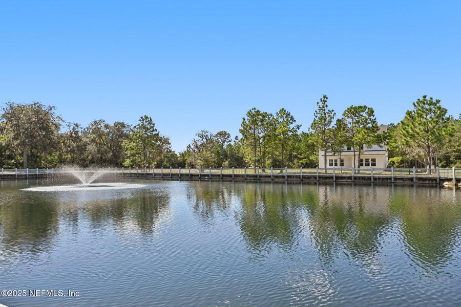 Natural landscape and outdoor views near  in Fernandina Beach (Image 48).