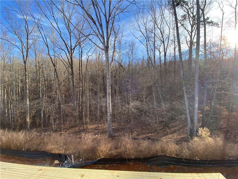 Natural landscape and outdoor views near Creekside in Dawsonville (Image 8). Natural landscape and outdoor views near Creekside in Dawsonville (Image 8).