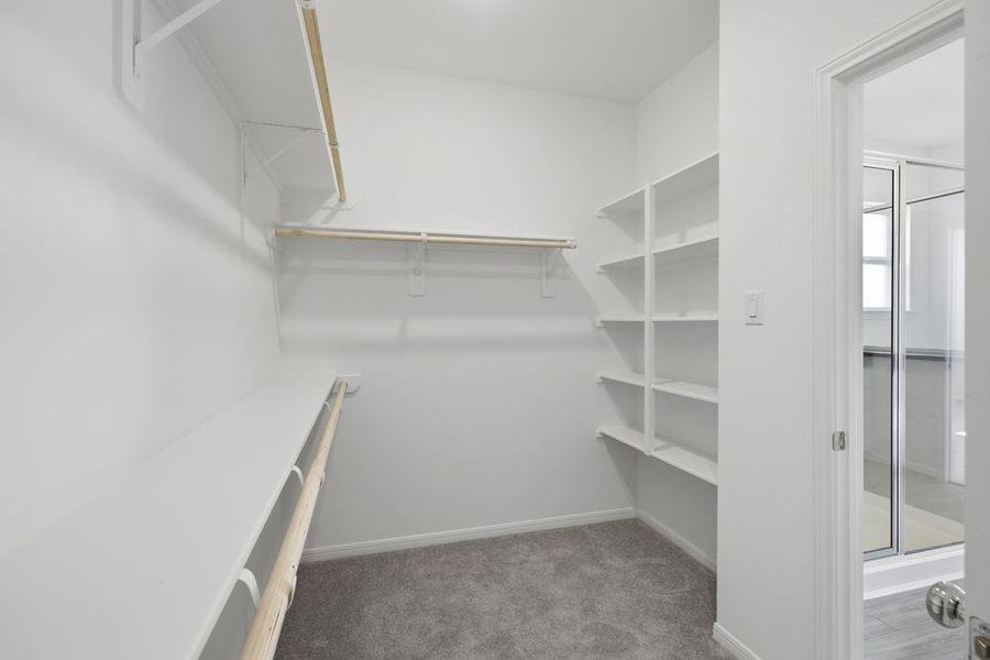 5607 Buttonbush - Ready Now!