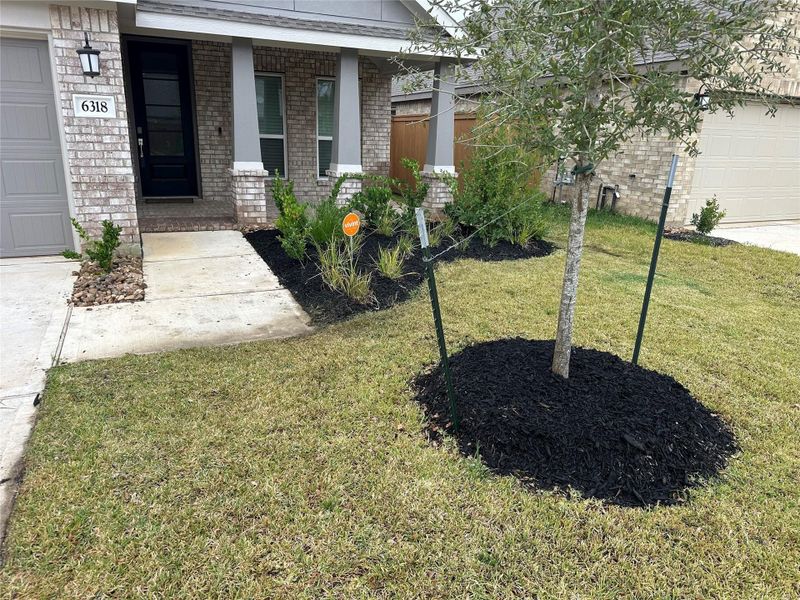 Exterior details and patio area of a home in Sunterra, Katy (Image 25). Exterior details and patio area of a home in Sunterra, Katy (Image 25).