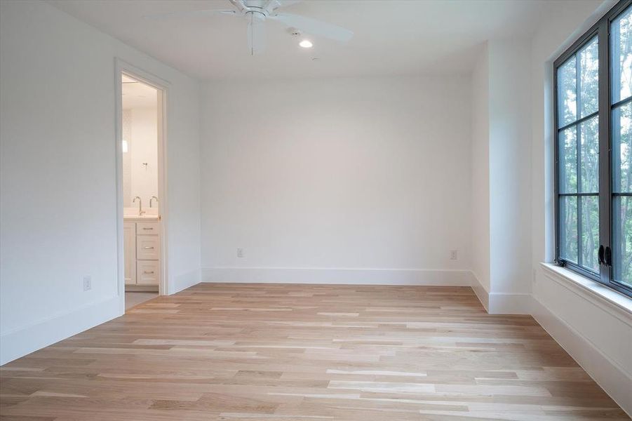 Spare room featuring light wood-type flooring, a wealth of natural light, sink, and ceiling fan