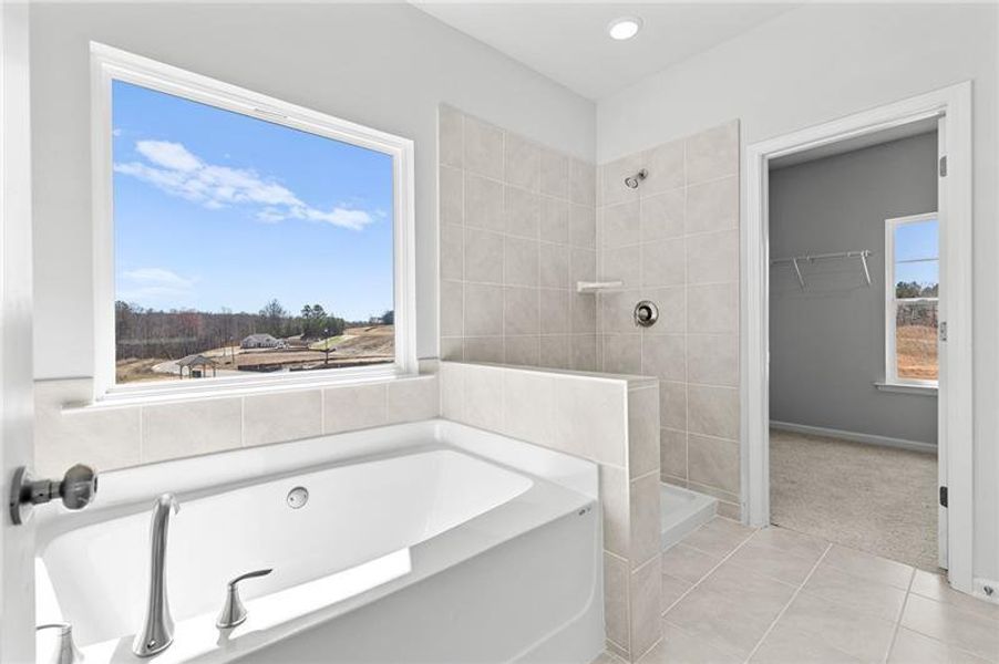 Furnished interior view inside a new home in , Homer (Image 20). Furnished interior view inside a new home in , Homer (Image 20).