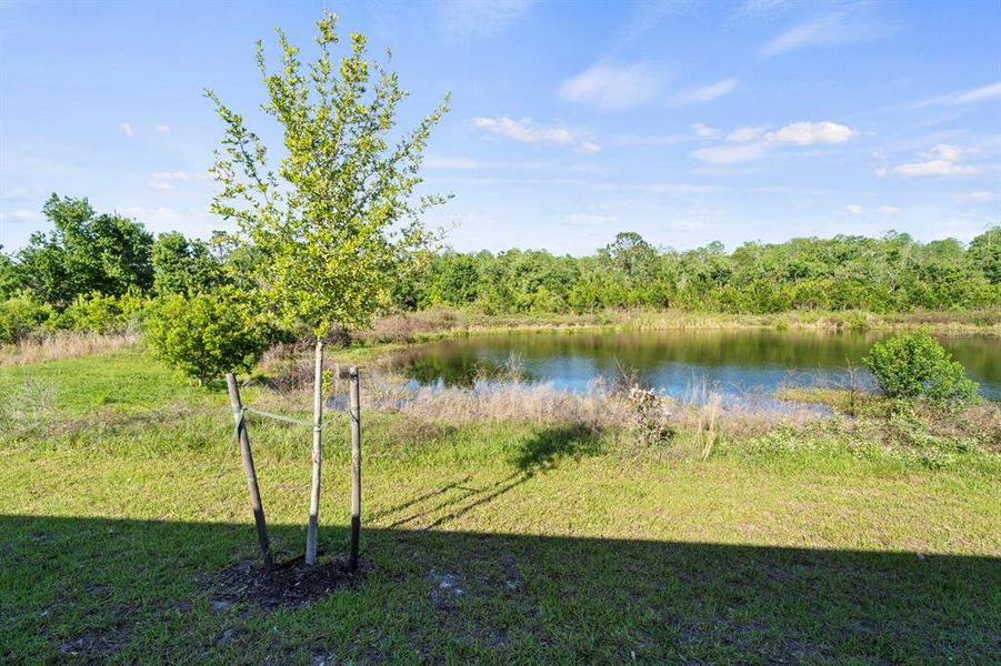 Natural landscape and outdoor views near  in Harmony (Image 35).