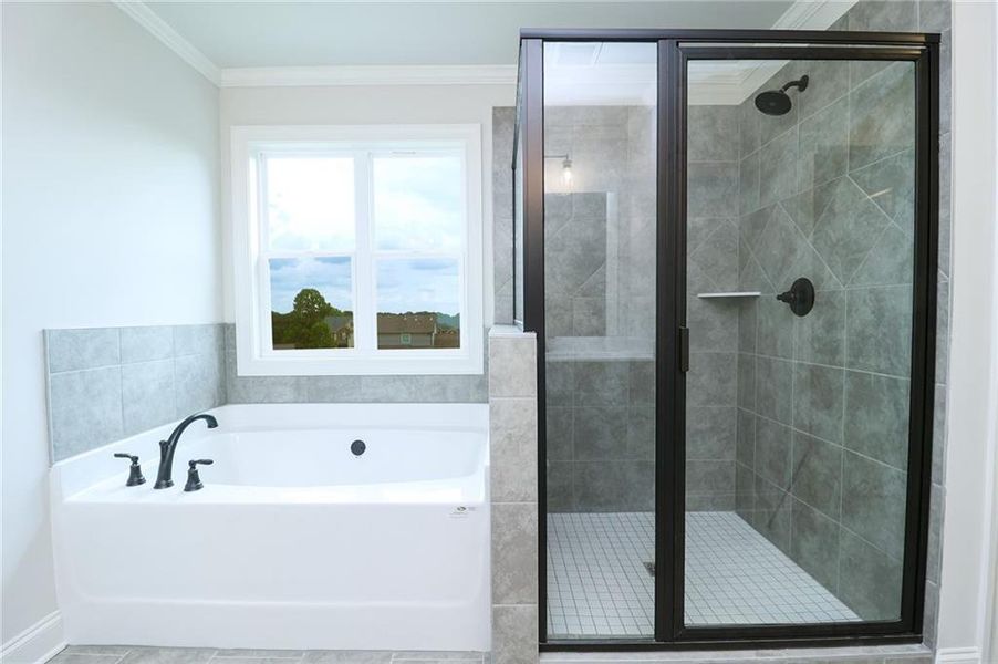 Image 15 of a home in Calgary Downs.