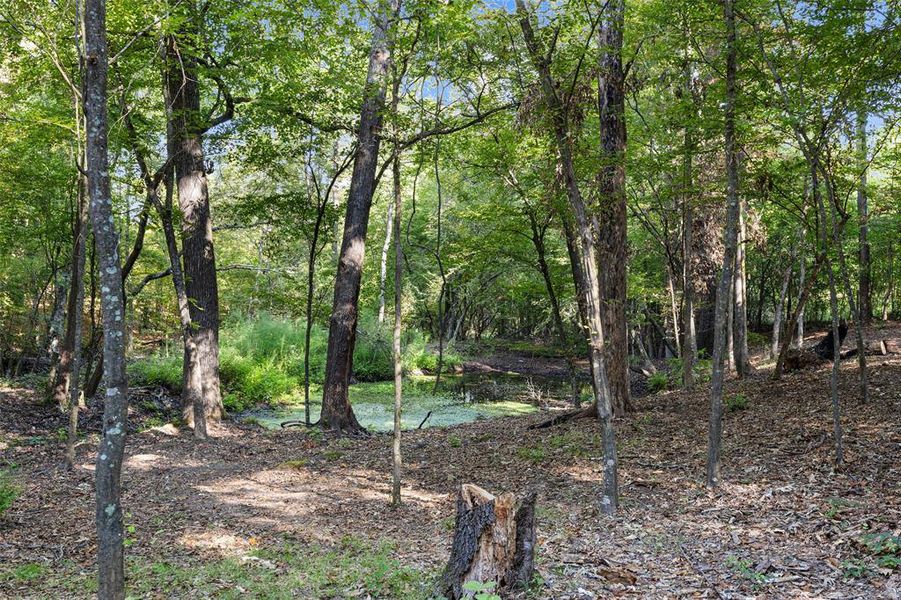 Natural landscape and outdoor views near in Hawkins (Image 22). Natural landscape and outdoor views near in Hawkins (Image 22).