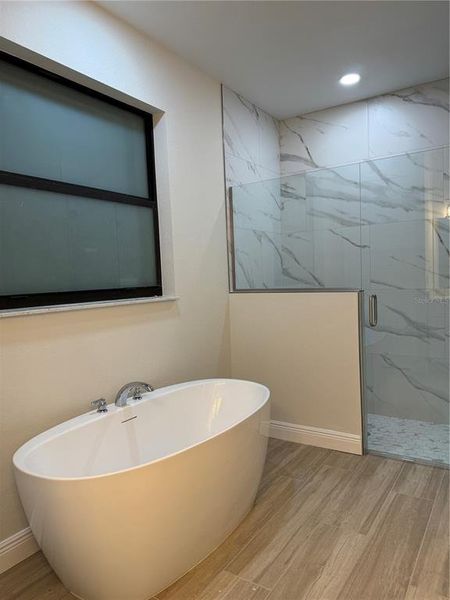 Master Bathroom Tub & Shower Master Bathroom Tub & Shower