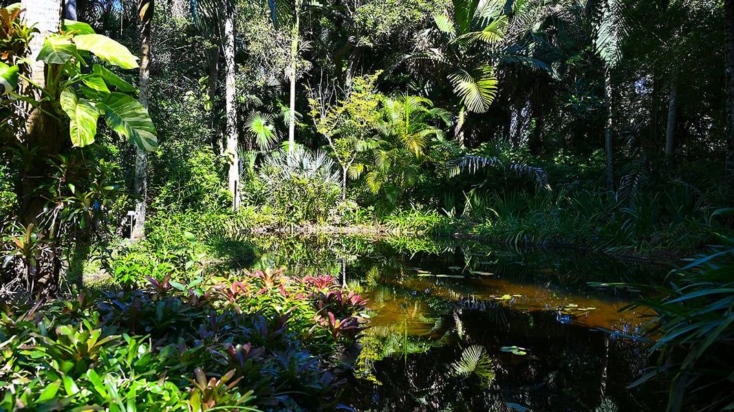 Natural landscape and outdoor views near Veranda Oaks in Port St. Lucie (Image 76).