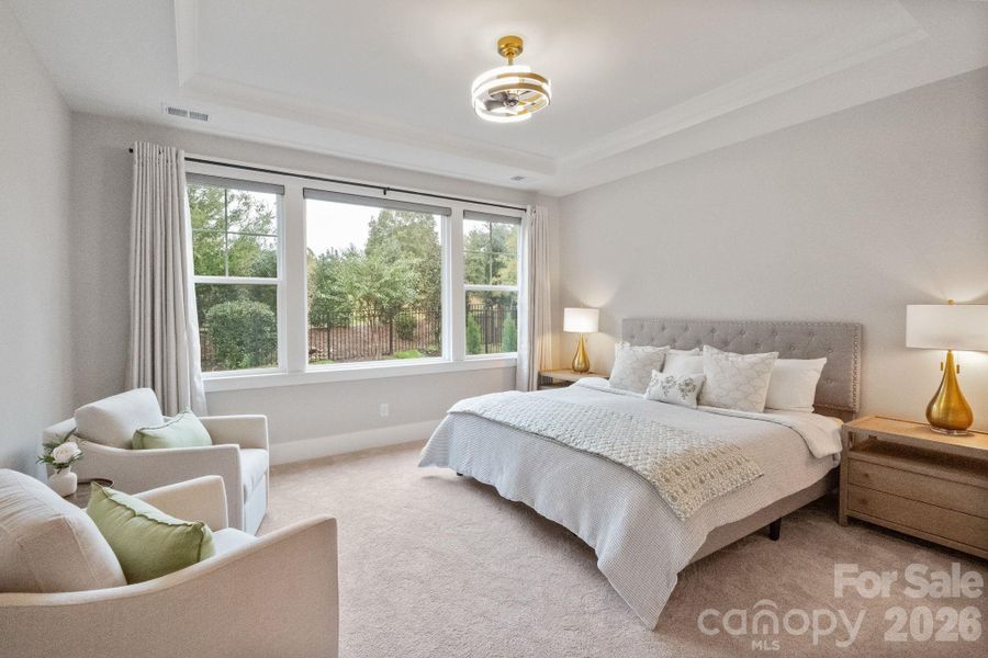 Primary Bedroom-Level 1. Tray Ceiling, large picture window, electronic roller shades