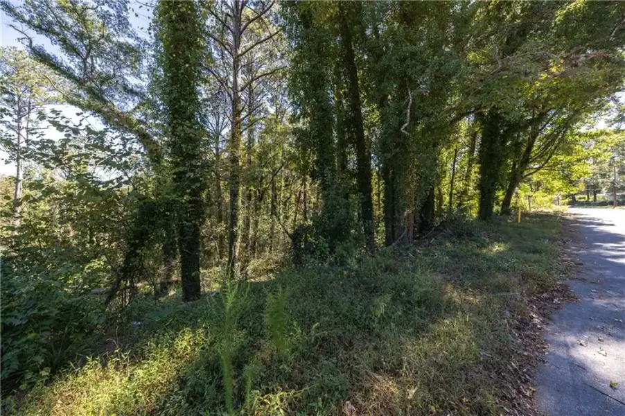 Natural landscape and outdoor views near  in Hapeville (Image 42).