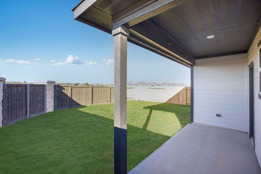 26814 Celestial Cypress ~ Ready Now