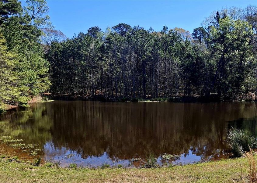 Natural landscape and outdoor views near  in Jacksonville (Image 14).