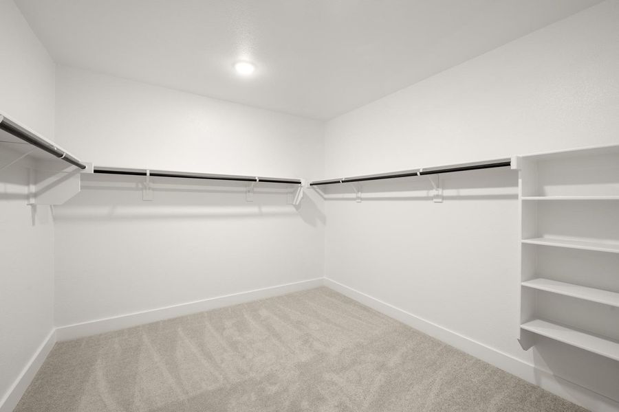 Spacious, unfurnished interior of a new home in The Meadows, Denton (Image 20). Spacious, unfurnished interior of a new home in The Meadows, Denton (Image 20).