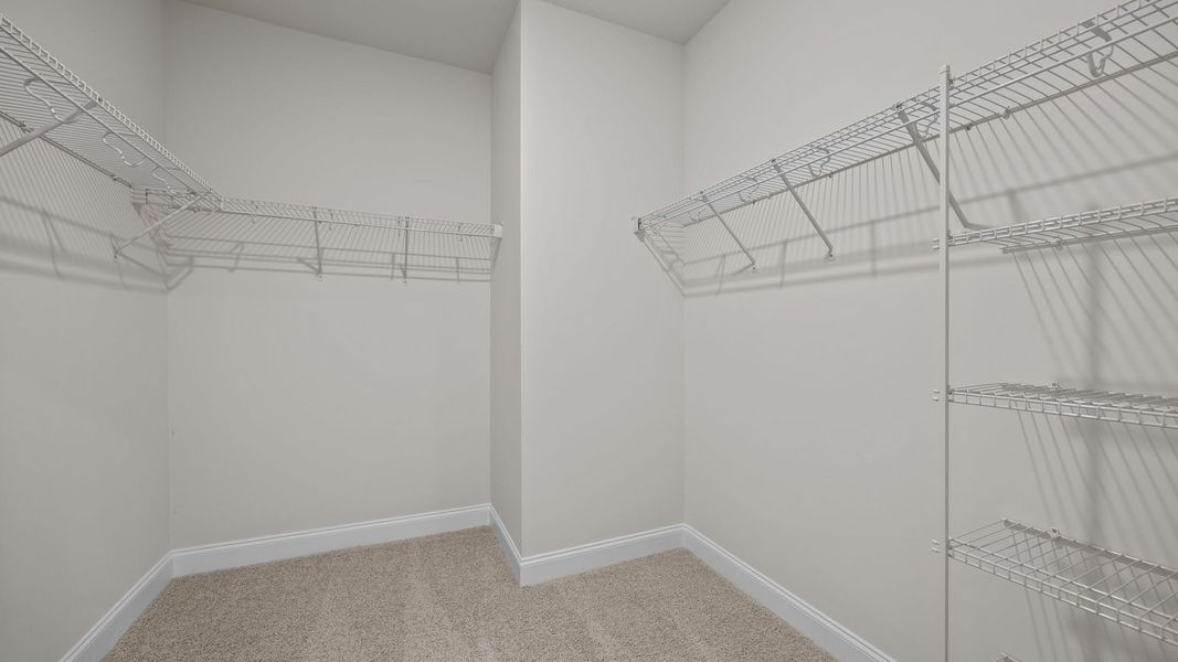 Spacious, unfurnished interior of a new home in Beaver Dam Crossing, Bailey (Image 26). Spacious, unfurnished interior of a new home in Beaver Dam Crossing, Bailey (Image 26).